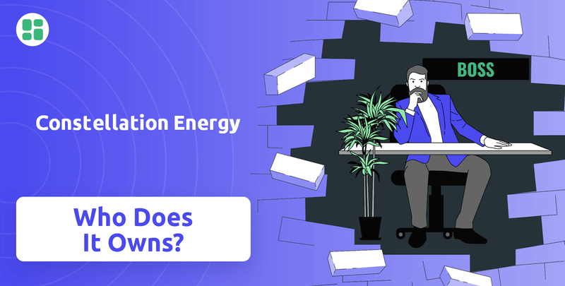 Who Owns Constellation Energy Company?