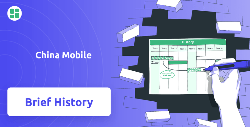 What is Brief History of China Mobile Company?