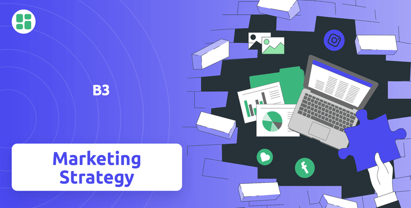 What is Sales and Marketing Strategy of B3 Company?