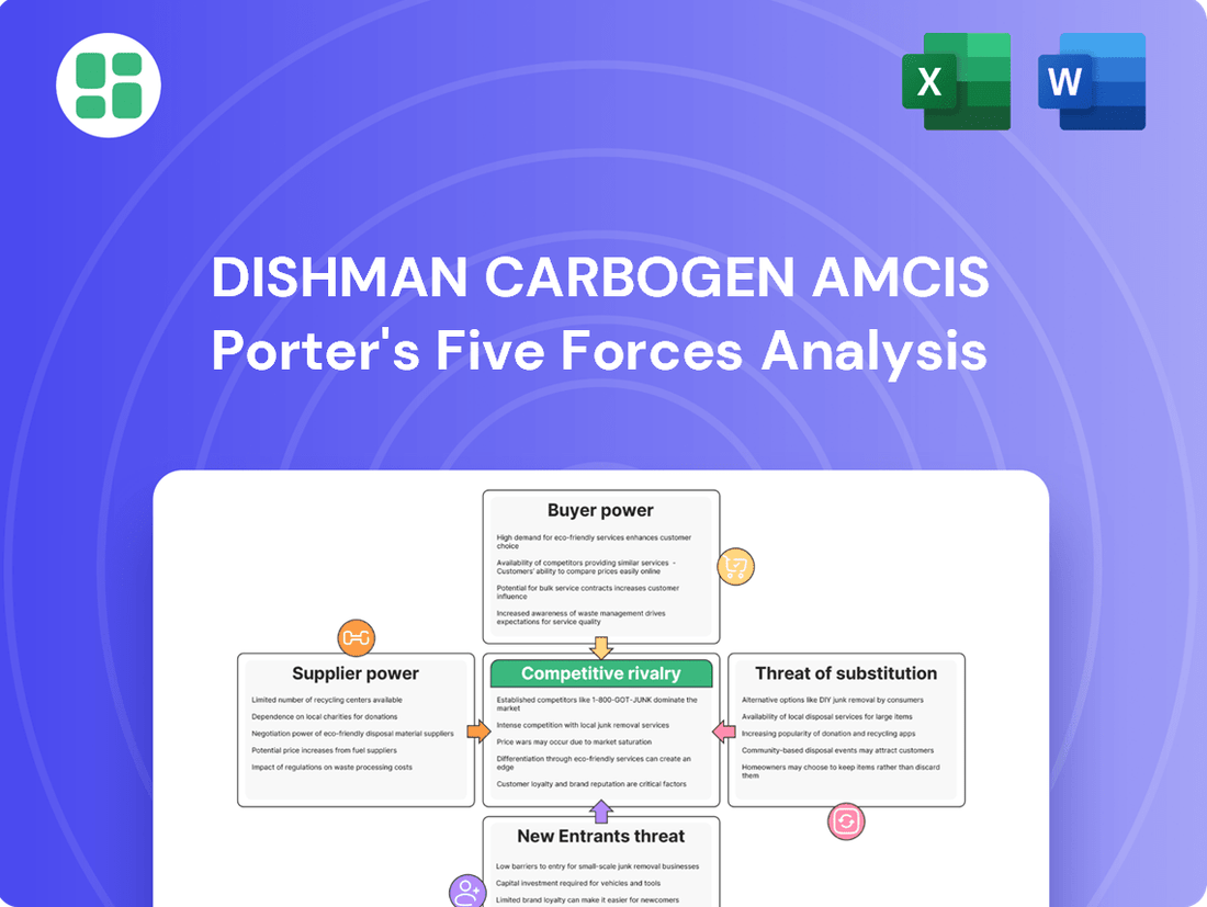 Dishman Carbogen Amcis Porter's Five Forces Analysis