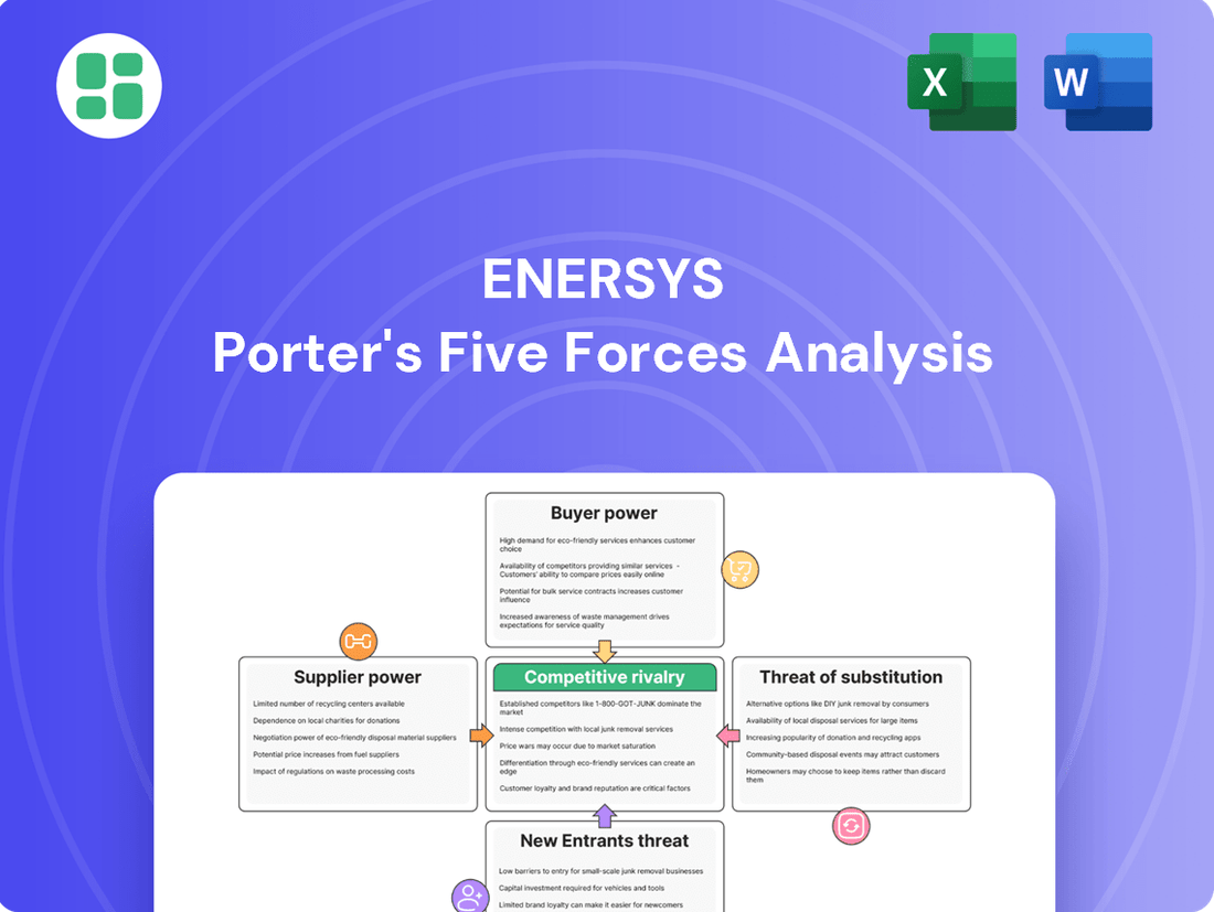 EnerSys Porter's Five Forces Analysis