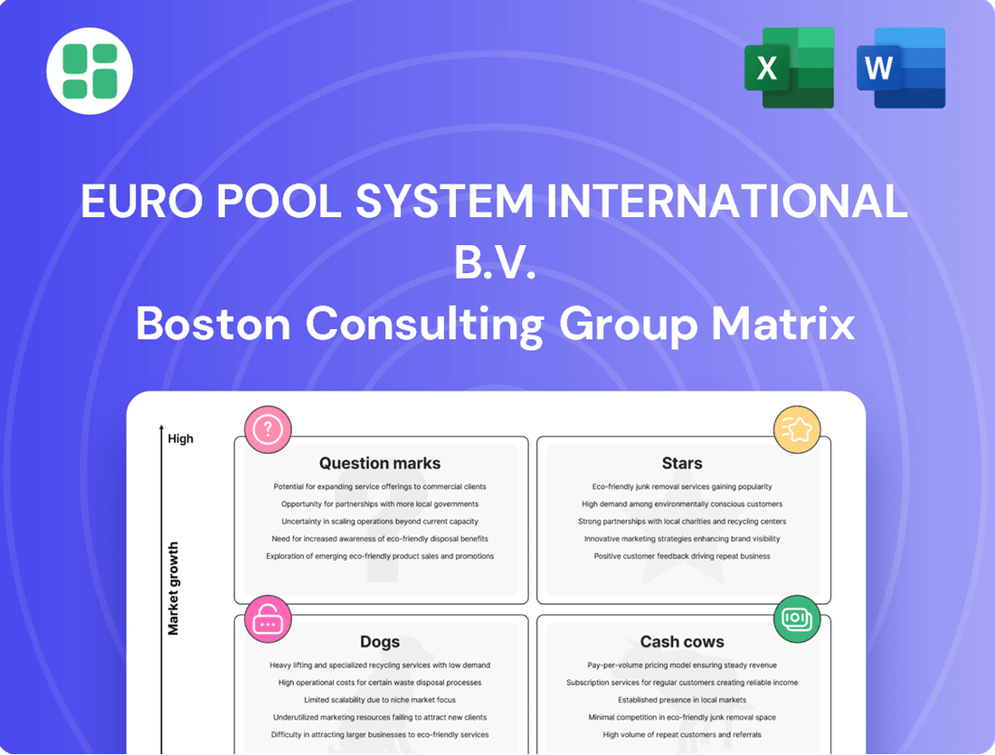 Euro Pool System International B.V. Boston Consulting Group Matrix