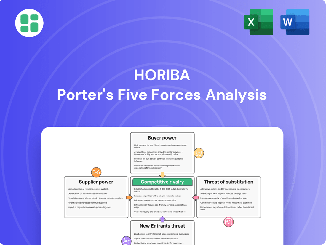 HORIBA Porter's Five Forces Analysis