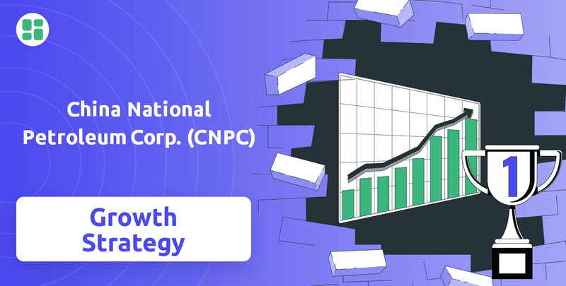 What is Growth Strategy and Future Prospects of China National Petroleum Corp. (CNPC) Company?