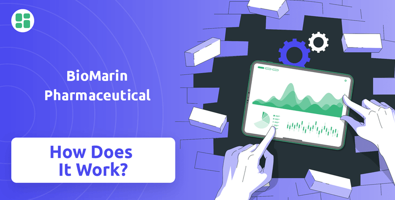 How Does BioMarin Pharmaceutical Company Work?