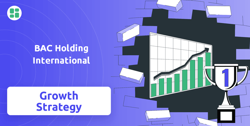What is Growth Strategy and Future Prospects of BAC Holding International Company?