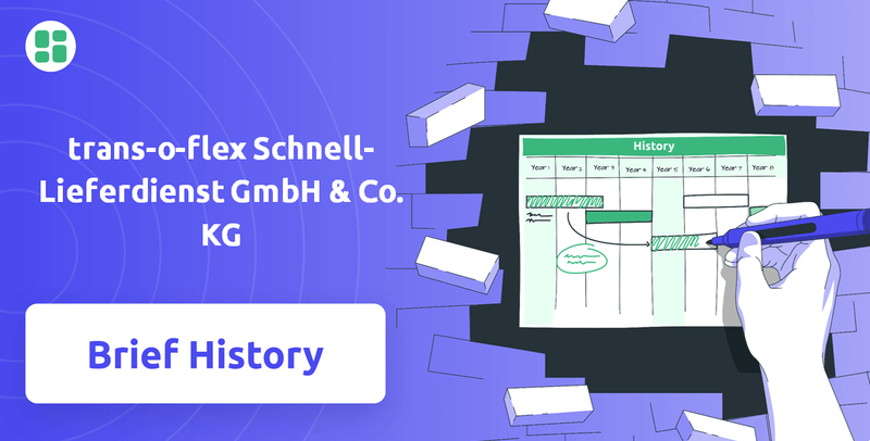 What is Brief History of trans-o-flex Schnell-Lieferdienst GmbH & Co. KG Company?
