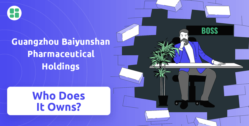 Who Owns Guangzhou Baiyunshan Pharmaceutical Holdings Company?