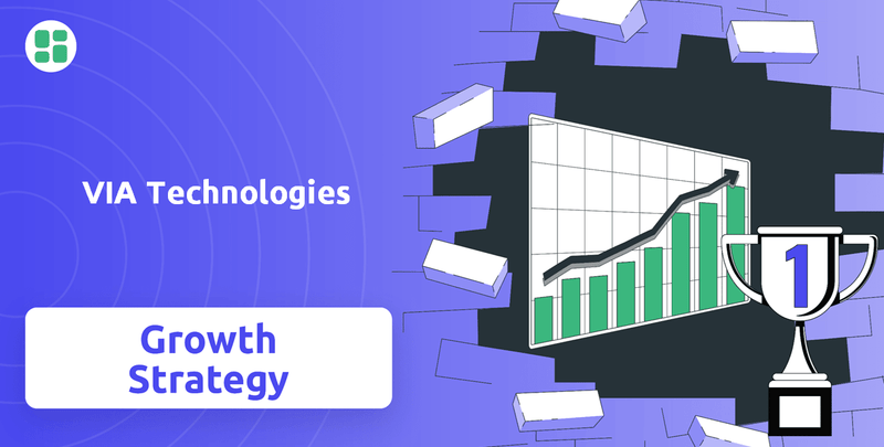 What is Growth Strategy and Future Prospects of VIA Technologies Company?