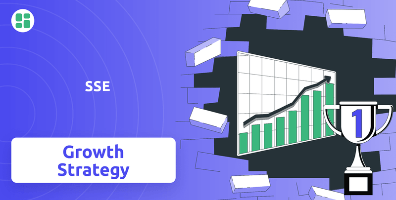 What is Growth Strategy and Future Prospects of SSE Company?