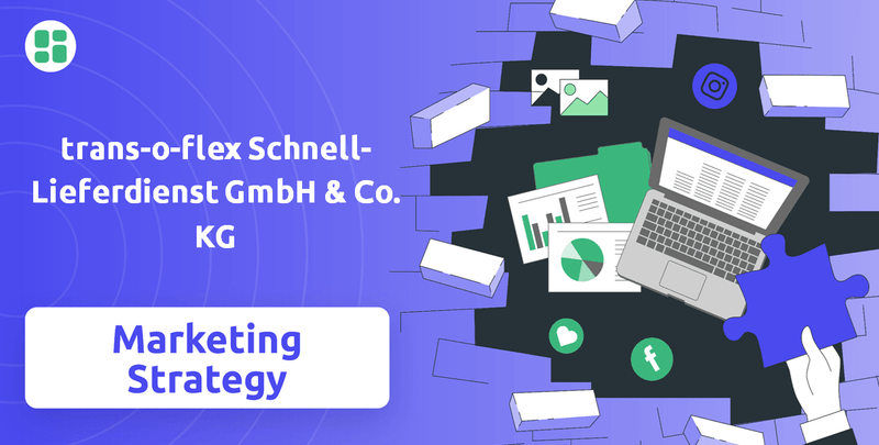What is Sales and Marketing Strategy of trans-o-flex Schnell-Lieferdienst GmbH & Co. KG Company?