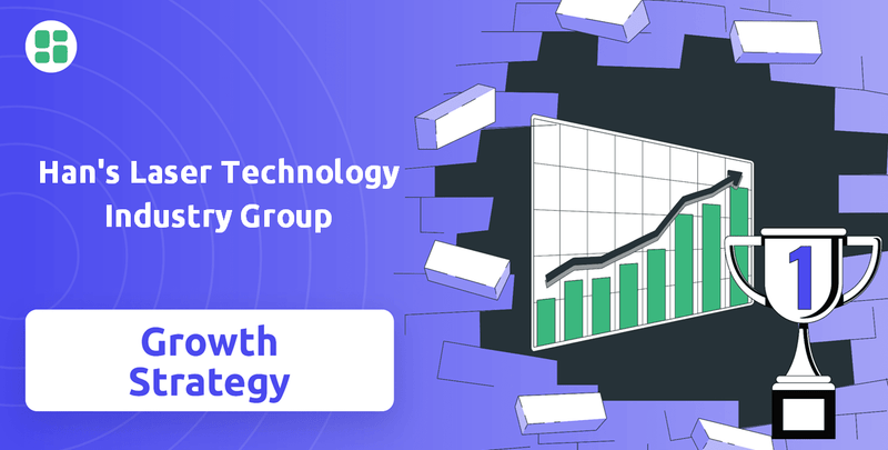 What is Growth Strategy and Future Prospects of Han's Laser Technology Industry Group Company?