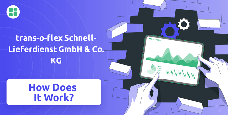 How Does trans-o-flex Schnell-Lieferdienst GmbH & Co. KG Company Work?