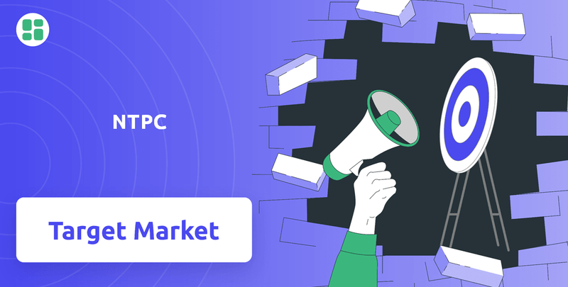 What is Customer Demographics and Target Market of NTPC Company?