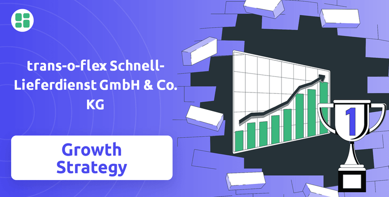 What is Growth Strategy and Future Prospects of trans-o-flex Schnell-Lieferdienst GmbH & Co. KG Company?
