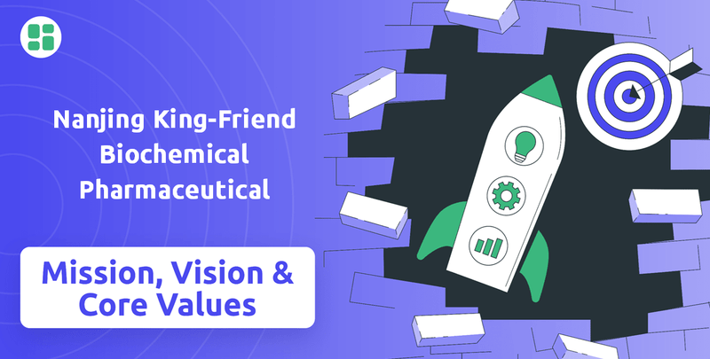 What are Mission Vision & Core Values of Nanjing King-Friend Biochemical Pharmaceutical Company?