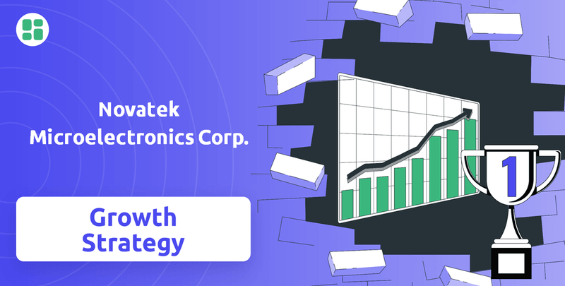What is Growth Strategy and Future Prospects of Novatek Microelectronics Corp. Company?