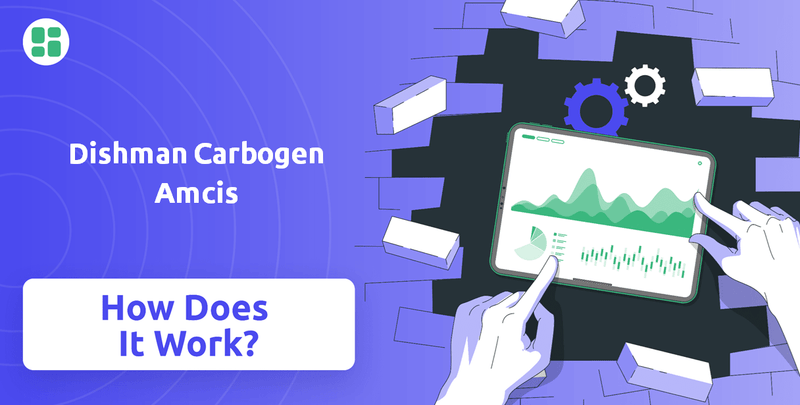 How Does Dishman Carbogen Amcis Company Work?