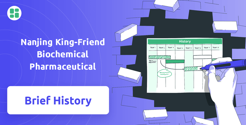 What is Brief History of Nanjing King-Friend Biochemical Pharmaceutical Company?