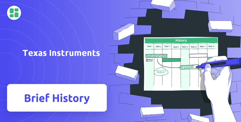 What is Brief History of Texas Instruments Company?
