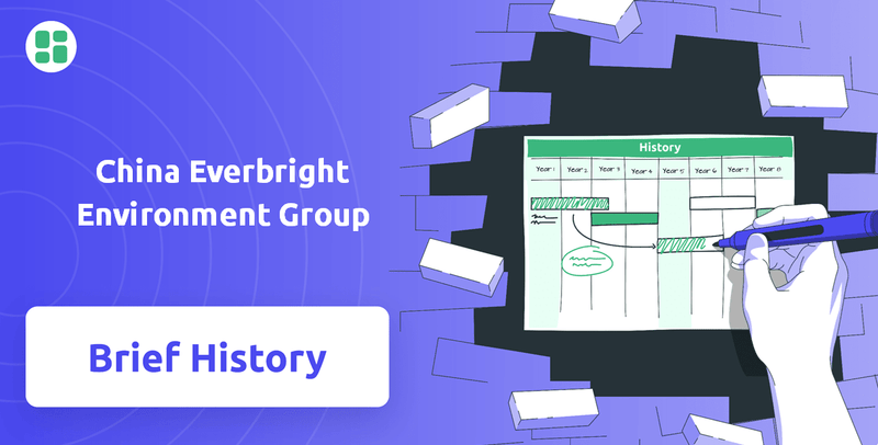 What is Brief History of China Everbright Environment Group Company?
