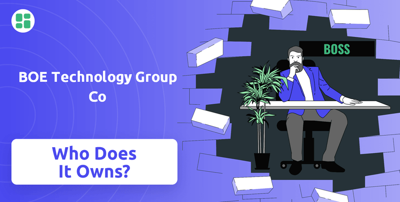 Who Owns BOE Technology Group Co Company?