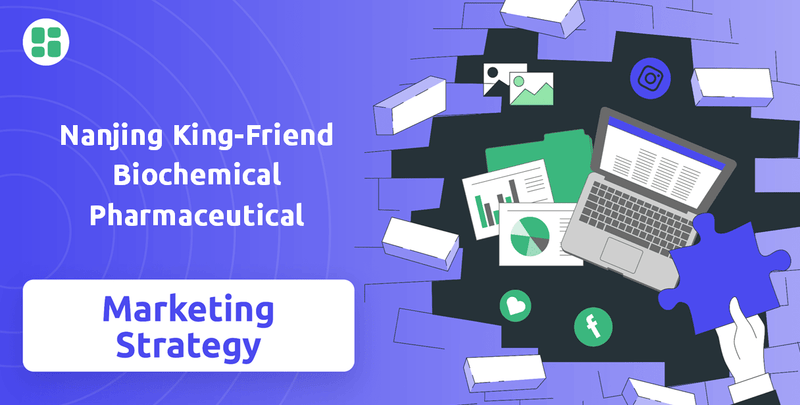 What is Sales and Marketing Strategy of Nanjing King-Friend Biochemical Pharmaceutical Company?
