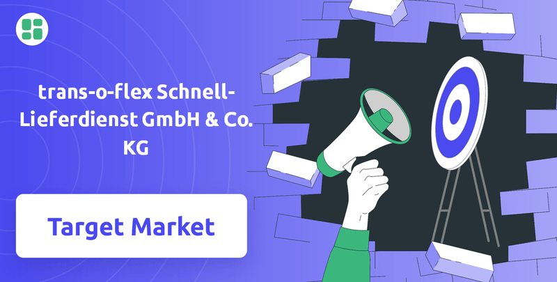 What is Customer Demographics and Target Market of trans-o-flex Schnell-Lieferdienst GmbH & Co. KG Company?