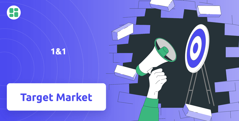 What is Customer Demographics and Target Market of 1&1 Company?