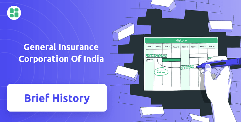 What is Brief History of General Insurance Corporation Of India Company?