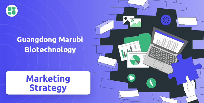 What is Sales and Marketing Strategy of Guangdong Marubi Biotechnology Company?