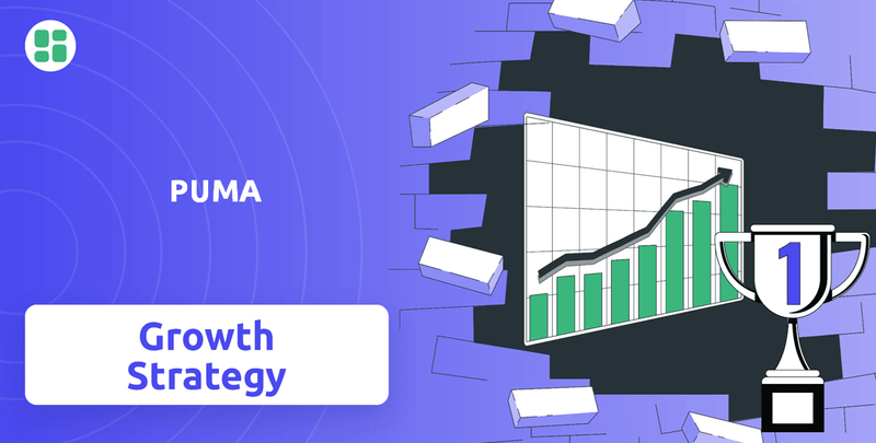 What is Growth Strategy and Future Prospects of PUMA Company?