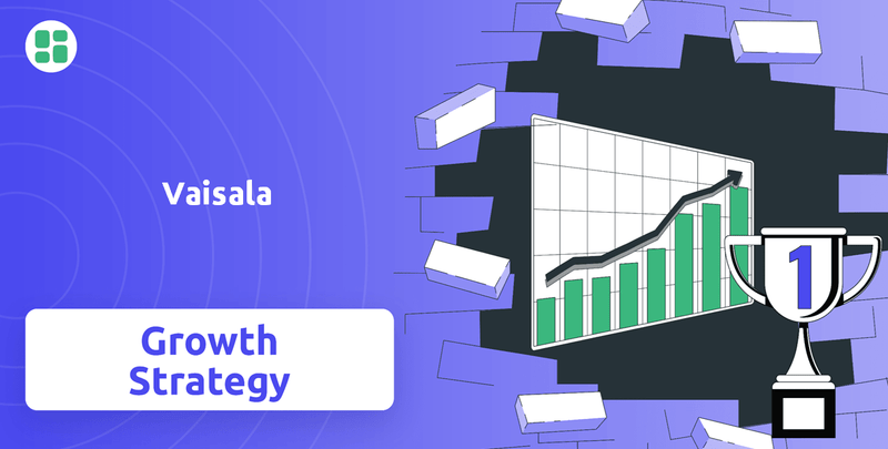 What is Growth Strategy and Future Prospects of Vaisala Company?