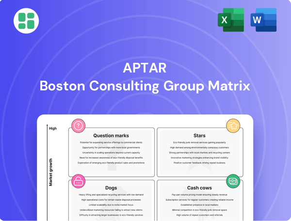 Aptar Boston Consulting Group Matrix