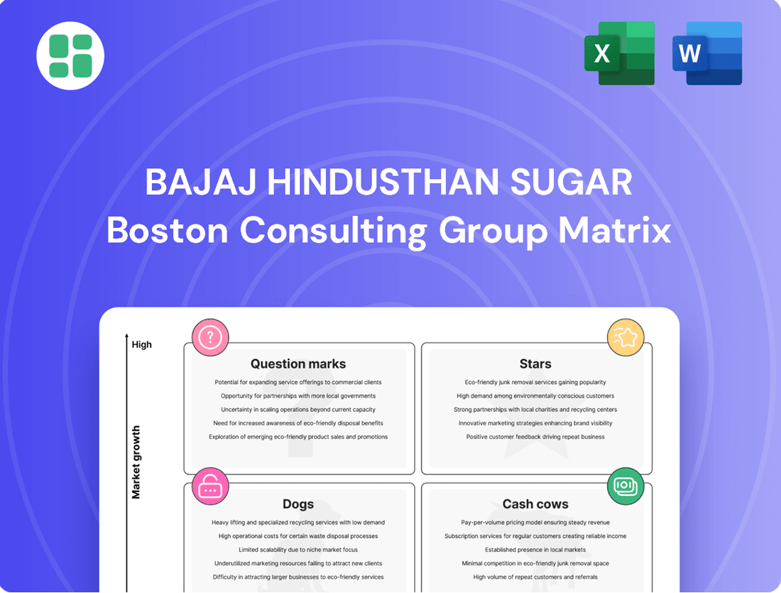 Bajaj Hindusthan Sugar Boston Consulting Group Matrix