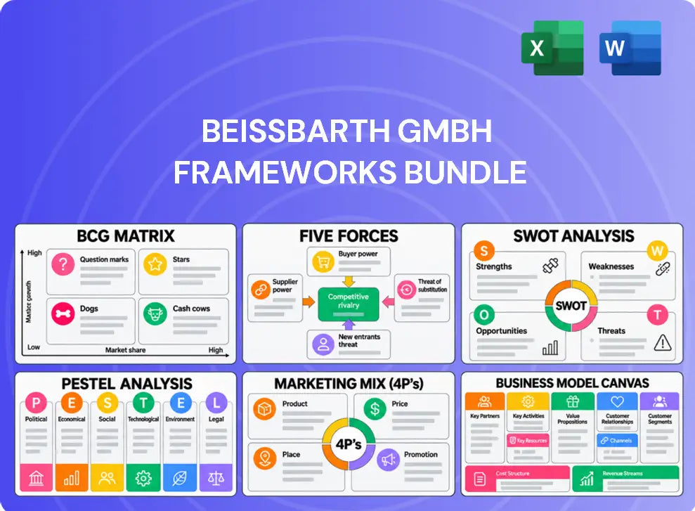 Beissbarth GmbH Company Analysis