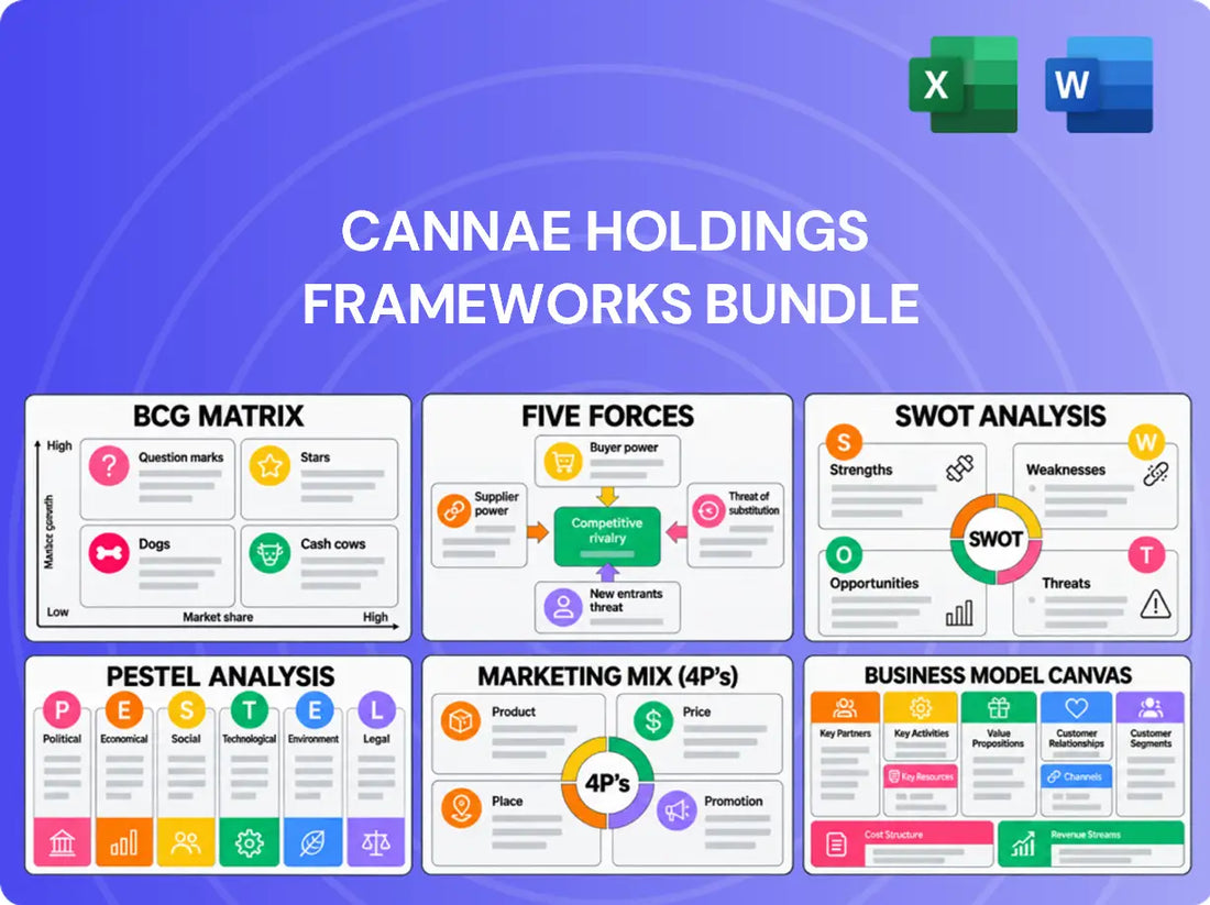 Cannae Holdings Company Analysis