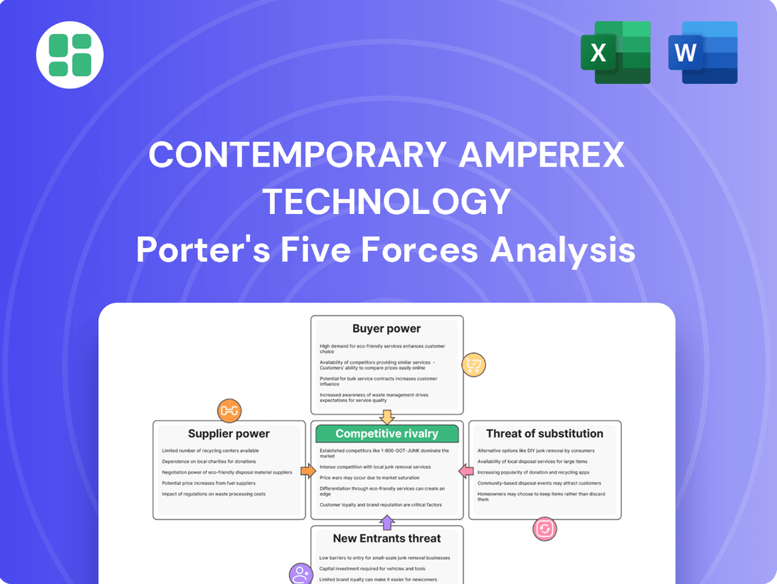 Contemporary Amperex Technology Porter's Five Forces Analysis