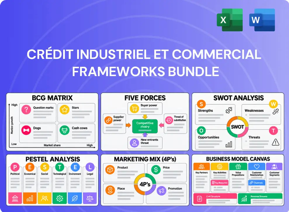 Crédit Industriel et Commercial Company Analysis