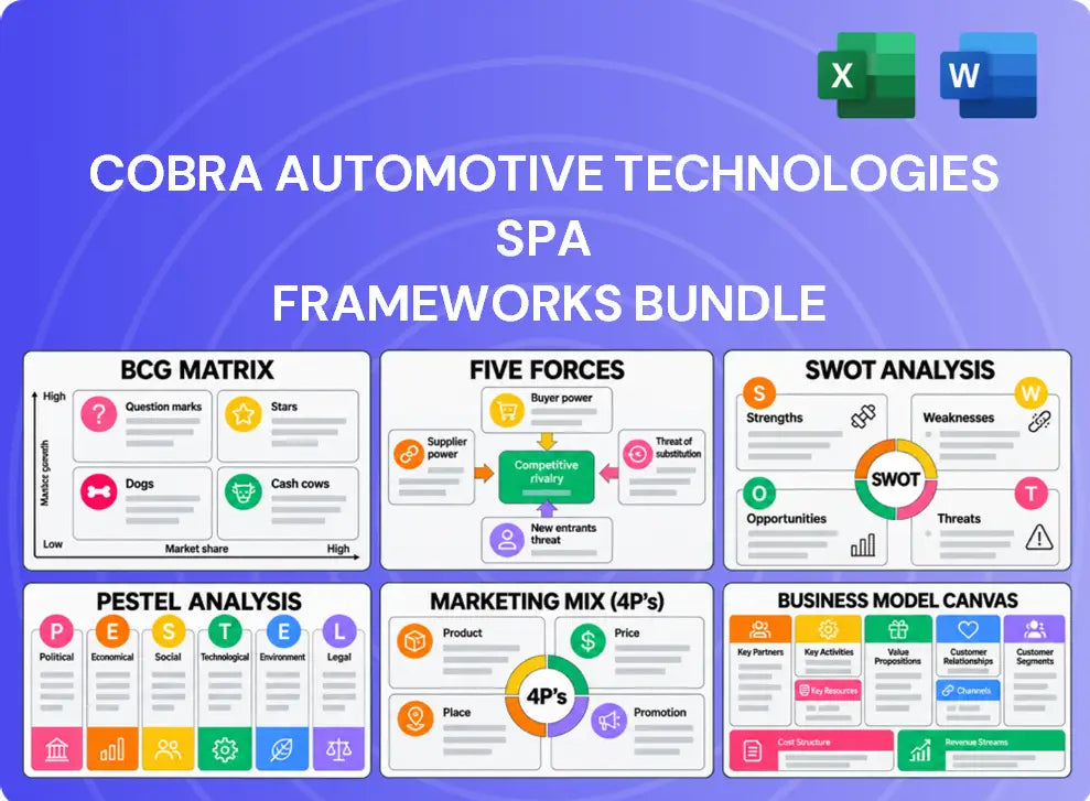 Cobra Automotive Technologies SpA Company Analysis
