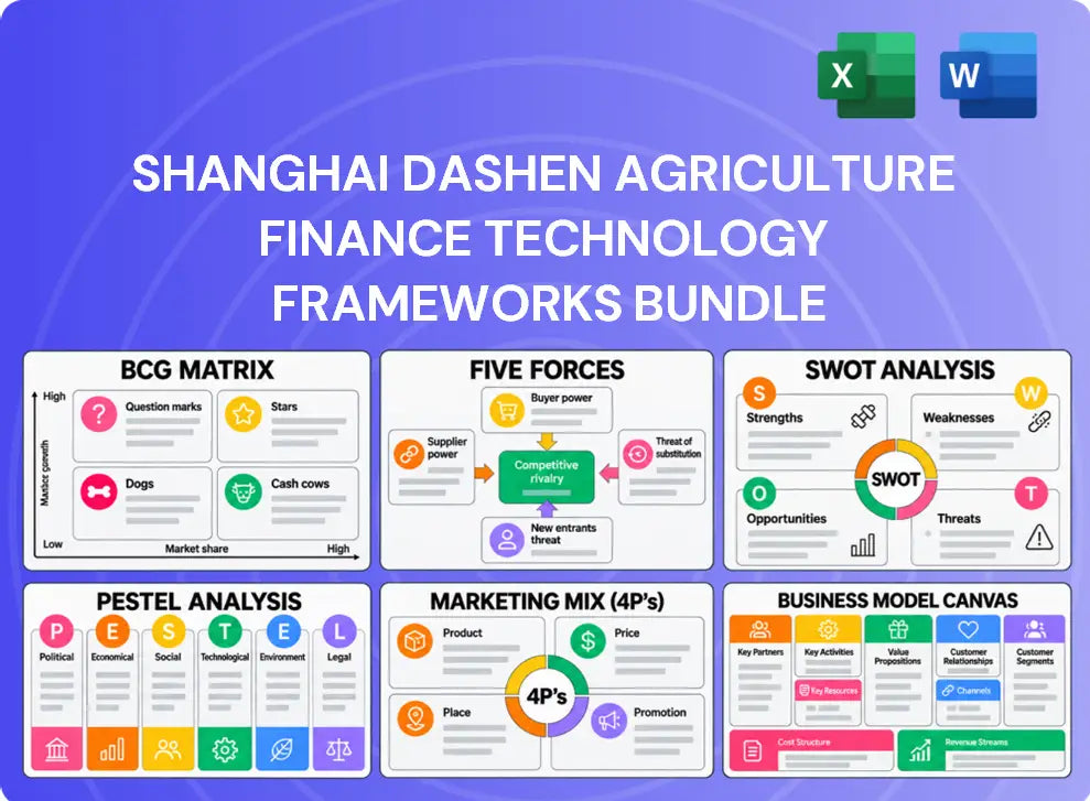 Shanghai Dashen Agriculture Finance Technology Company Analysis