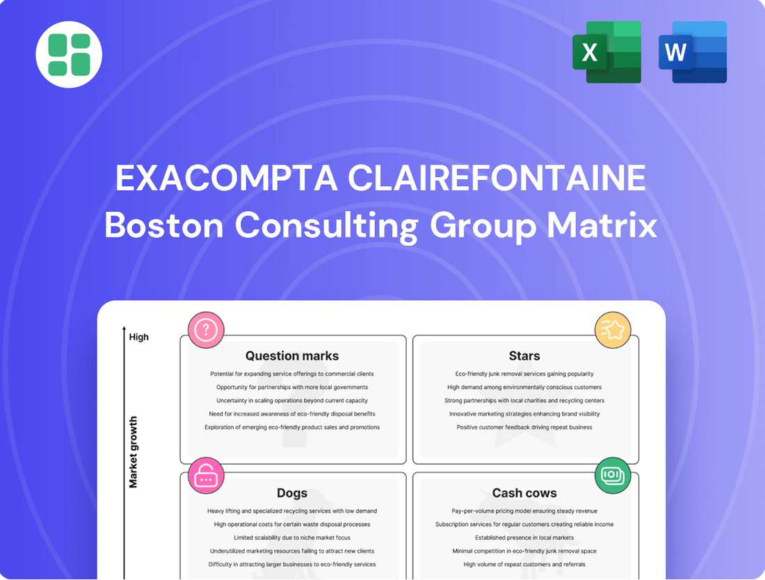 Exacompta Clairefontaine Boston Consulting Group Matrix