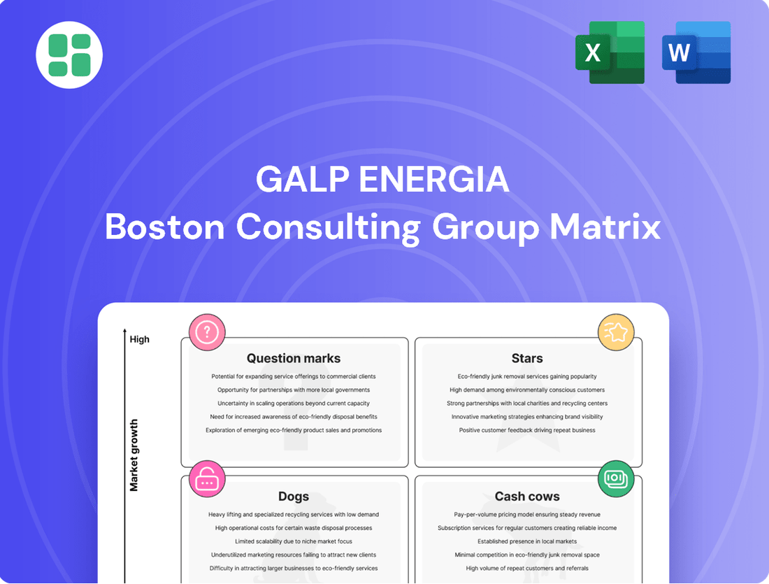 Galp Energia Boston Consulting Group Matrix
