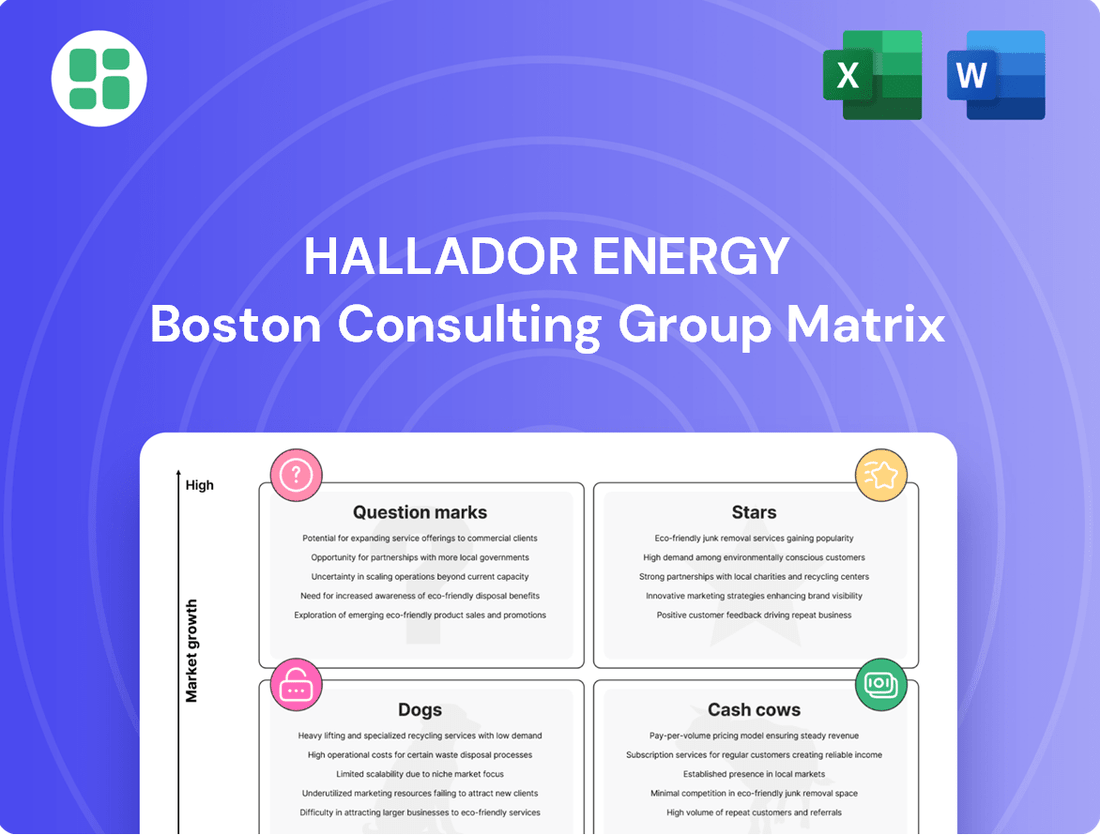 Hallador Energy Boston Consulting Group Matrix