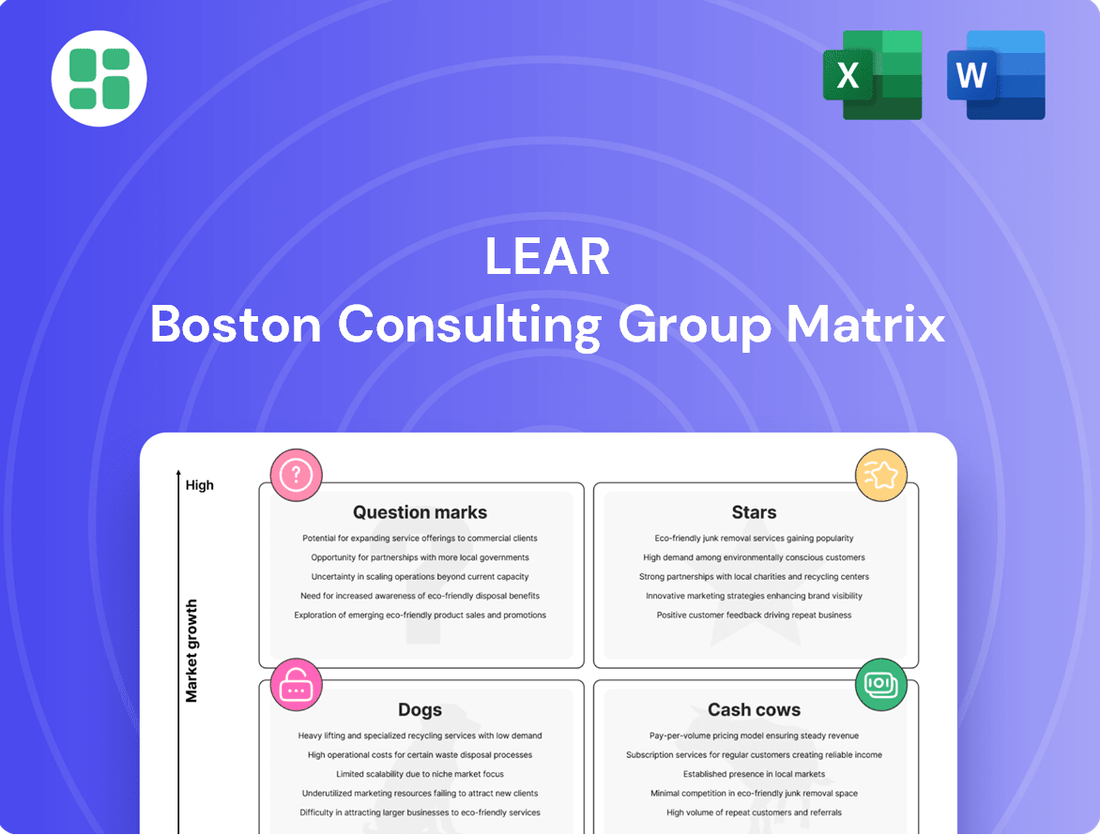 Lear Boston Consulting Group Matrix