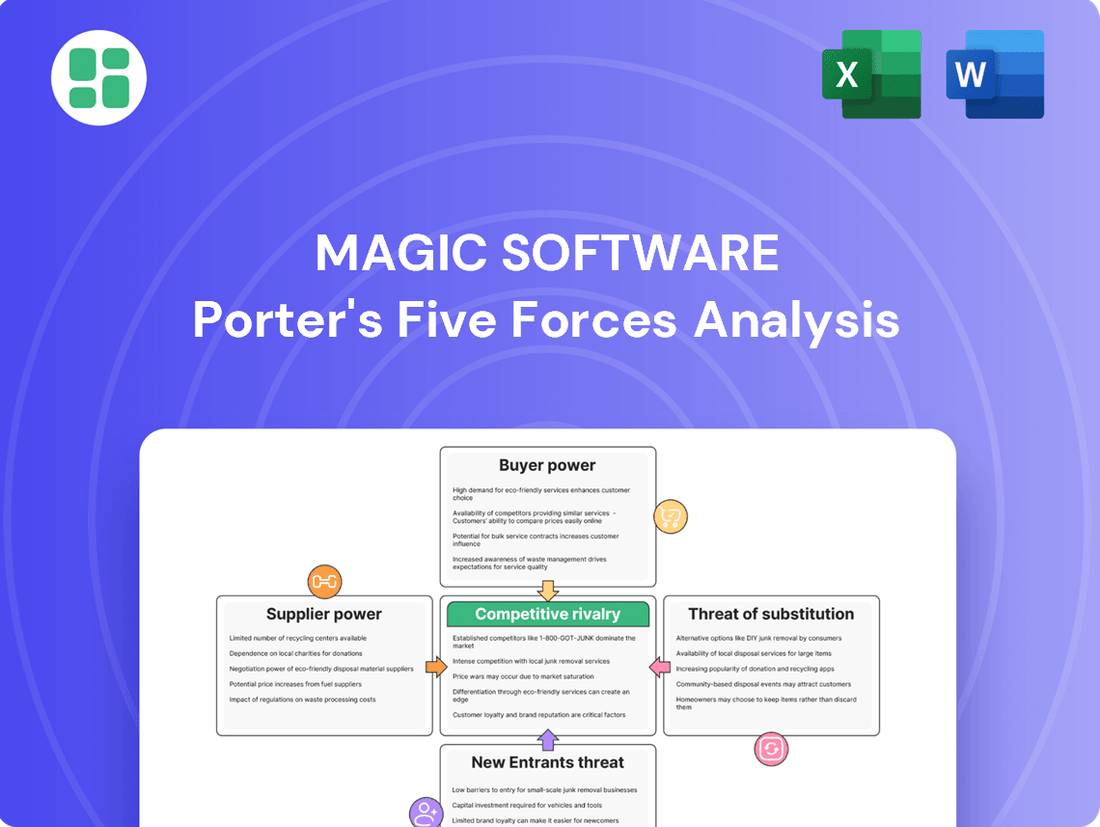 Magic Software Porter's Five Forces Analysis