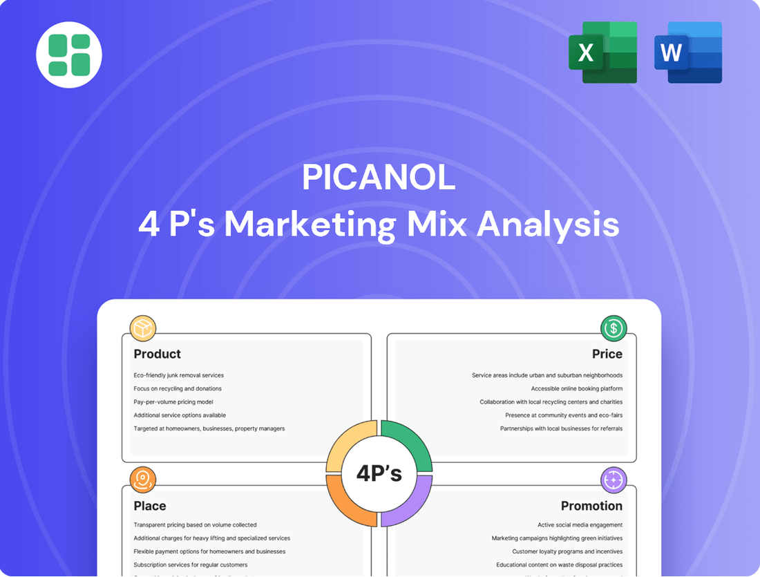 Picanol Marketing Mix