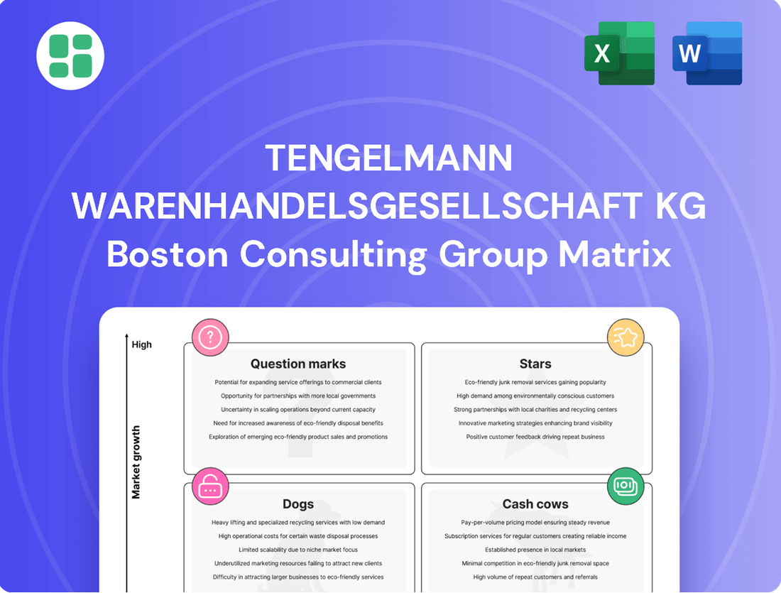 Tengelmann Warenhandelsgesellschaft KG Boston Consulting Group Matrix