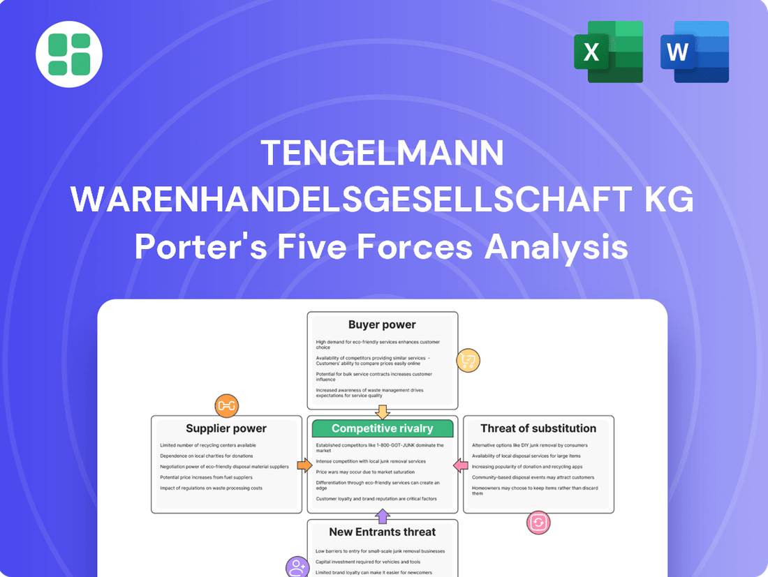Tengelmann Warenhandelsgesellschaft KG Porter's Five Forces Analysis