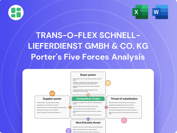 trans-o-flex Schnell-Lieferdienst GmbH & Co. KG Porter's Five Forces Analysis